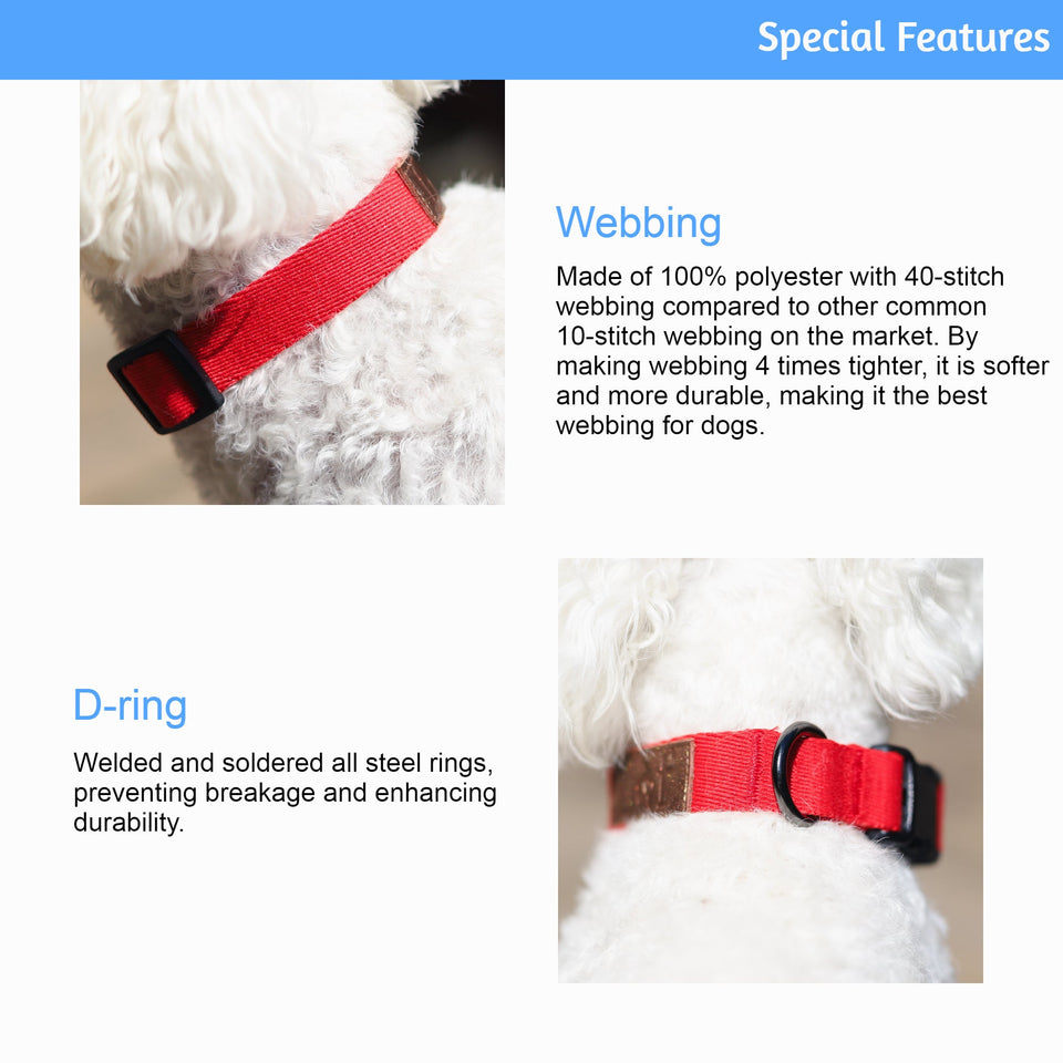 Ultra-Comfort Durable Dog Collar