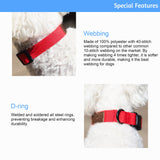 Ultra-Comfort Durable Dog Collar