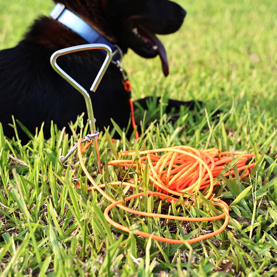 30FT Ground Stake Dog Tie-Out Leash