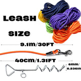 30FT Ground Stake Dog Tie-Out Leash