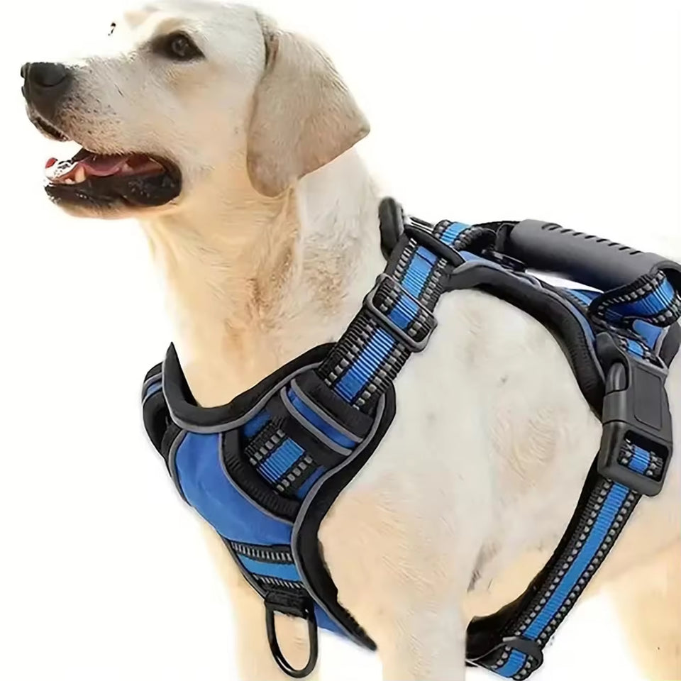 Multi-Functional Dog Harness Set with Leash & Bowl