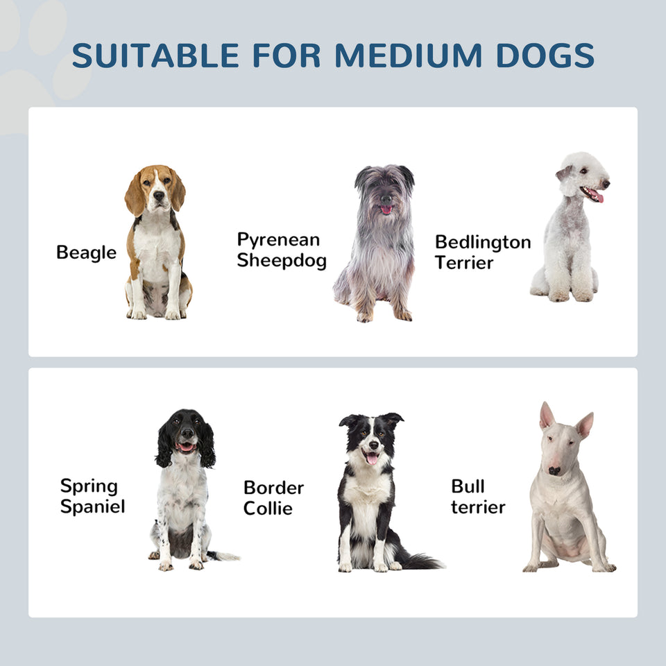Elevated Dog Feeder with Stainless Steel Bowls