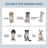 Elevated Dog Feeder with Stainless Steel Bowls