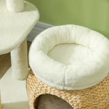 Multi-Level Cat Tree with Scratching Posts & Condo