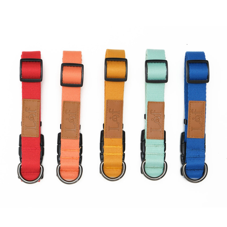 Ultra-Comfort Durable Dog Collar