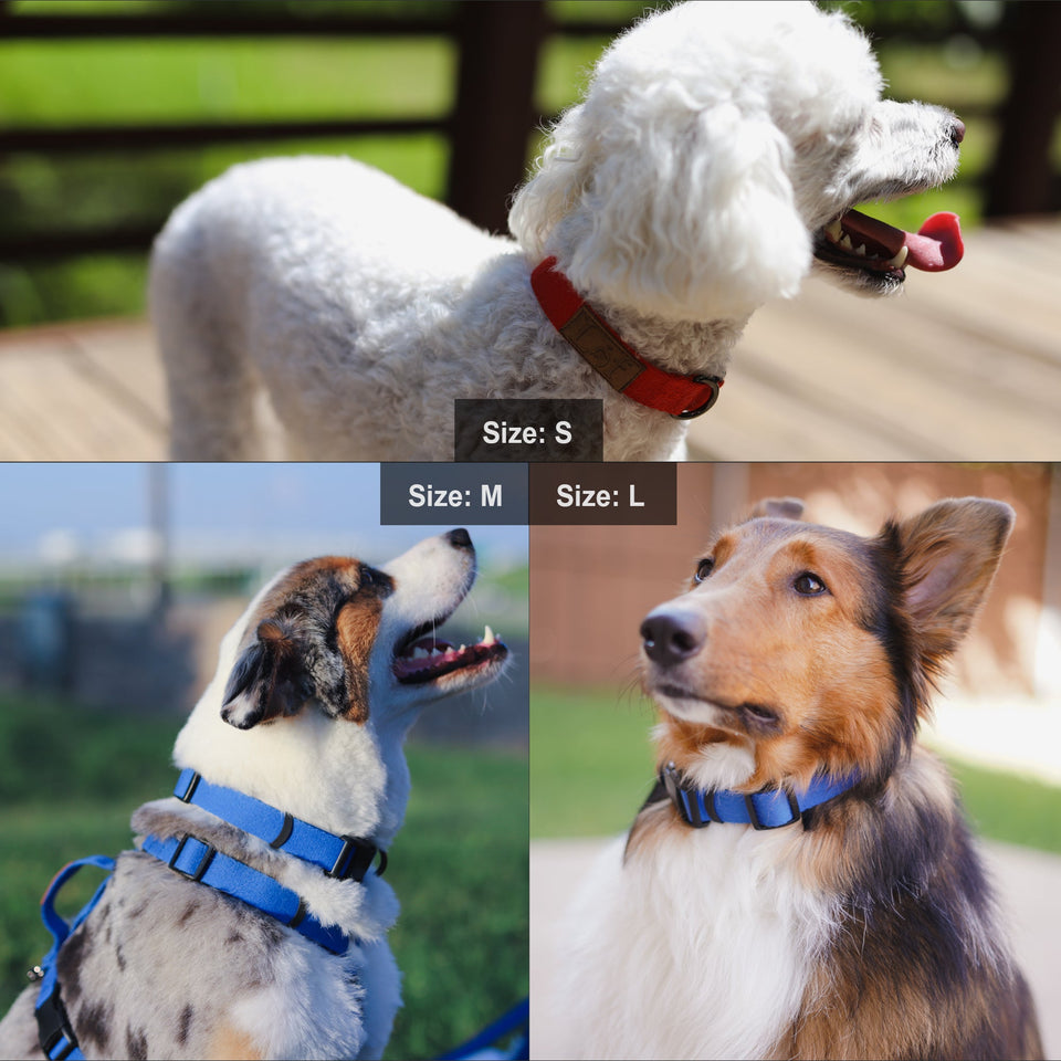 Ultra-Comfort Durable Dog Collar
