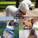 Ultra-Comfort Durable Dog Collar