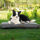 Inflatable Waterproof Dog Bed for Travel & Camping
