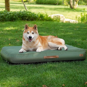 Inflatable Waterproof Dog Bed for Travel & Camping